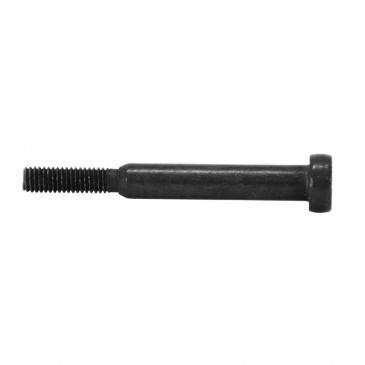 CAPTIVE SCREW FOR E-BIKE ENGINE MOVE- FOR TORPADO, OLYMPIA, BOTTECCHIA, BIANCHI -SELECTION P2R-