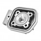 CULASSE CYCLO ADAPTABLE MBK 51 LIQUIDE (TYPE ORIGINE D39) -SELECTION P2R- 3701213426843
