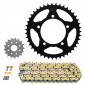 CHAIN AND SPROCKET KIT FOR APRILIA 660 RS 2020>2021 520 17x43 (Ø SPROCKET 100/120/10.50) (OEM SPECIFICATIONS) -AFAM- 5400598229114