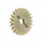 PIGNON DE POMPE A HUILE 50 A BOITE ADAPTABLE MINARELLI 50 AM6/MBK 50 X-POWER, X-LIMIT/YAMAHA 50 TZR, DTR/PEUGEOT 50 XPS, XR6/RIEJU 50 RS1, SMX/BETA 50 RR/APRILIA 50 RS -P2R- 3700948065044