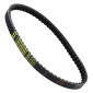 BELT FOR MAXISCOOTER PIAGGIO 125 VESPA ET4, SFERA (736 x 18,3 x 8) -MITSUBOSHI- 3700948259917