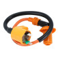 BOBINE ALLUMAGE SCOOT ADAPTABLE SCOOT 50 CHINOIS 4T GY6,139QMB / SYM 50 ORBIT 4T / BAOTIAN 50 BT49QT 4T / KYMCO 50 AGILITY 4T / PEUGEOT 50 V-CLIC 4T, 50 TWEET 4T RACING -P2R- 3700948241981