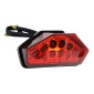 TAILLIGHT FOR 50cc MOTORBIKE RIEJU 50 MRT - RED - LEDS -P2R-
