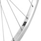 WHEEL FOR URBAN BIKE- REAR 700X35B ALUMINIUM TORPEDO - STEEL HUB - BACK PEDAL BRAKE - SINGLE SPEED (COASTER BRAKE) 3660429071400