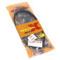 COURROIE SCOOT MALOSSI X SPECIAL BELT POUR HONDA 50 ZOOMER 4T, RUCKUS 4T (798 x 18 x 8 x 30°) (6117248) 3700948260821