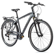 VELO MUSCULAIRE CITY BIKE 28 LEADER FOX FERRARA HOMME GRIS 8V (20,5'' - H53cm - TAILLE XL - POUR ADULTE DE 183cm à 190cm) 8592826033598