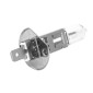 LIGHT BULB - HALOGEN H1 12V 55W Foot P14,5S BLANC CLEAR (HEADLIGHT) (SOLD PER UNIT) -SELECTION P2R- 3700948242179