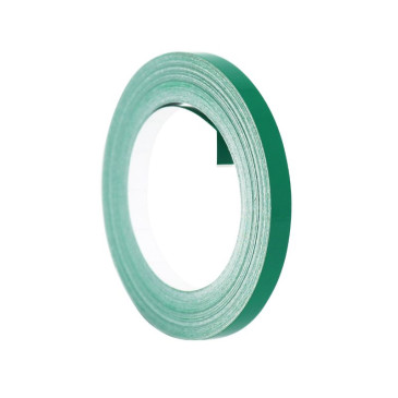 LISERET DE JANTE TUNING HPX/MOTIP SOLIDLINE VERT 6 mm (10M)