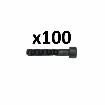 ALLEN SCREW - ALGI -CHC 5x30 (100 IN A BOX ) (00690024) 3284660260388