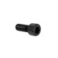 ALLEN SCREW - ALGI -CHC 6x15 (100 IN A BOX ) (690041) 3284660260548