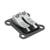 REED VALVE FOR POCKET BIKE ENGINE -P2R- 3700948240694