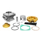 HAUT MOTEUR POCKET AVEC CULASSE A PLOT DIAM 44 mm (VENDU A L'UNITE) -P2R- 3700948240687