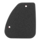 MOUSSE FILTRE A AIR SCOOT ADAPTABLE PEUGEOT 50 TKR, TREKKER, SPEEDFIGHT, VIVACITY, ELYSEO, ELYSTAR, LOOXOR, BUXY (ROUGE) DOUBLE DENSITE -P2R- 3700948061145