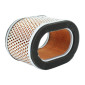 AIR FILTER FOR MOTORBIKE TRIUMPH 955 DAYTONA 2002>2006/955 SPRINT 2002>2004/955 SPEED-TRIPLE 2002>2004 -HIFLOFILTRO HFA6503- 824225123951