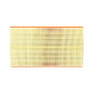 AIR FILTER FOR MOTORBIKE BMW 1000 S RR 2019>2020, 1000 S XR 2020> -HIFLOFILTRO HFA7919- 824225124484