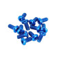 DISC BRAKE SCREW FOR E-SCOOTER Ø4,6 mm Blue ( sold per 12) -SELECTION P2R-