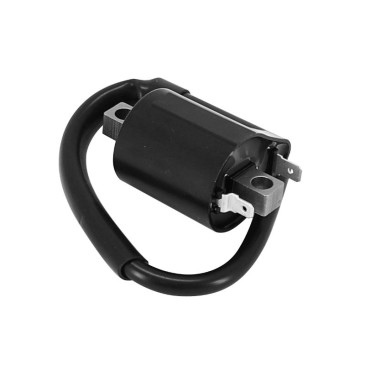 IGNITION COIL FOR YAMAHA 125 WR R 2009>2015, X CITY 2008>2015, YBR 2007>2015, XMAX 2006>2016, YZF R 2008>2015, N MAX 2015>2022 (INNER HIGH VOLTAGE 12V - 2 Terminals) -SGR- 8434290540274