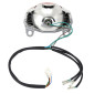 FEU ARRIERE SCOOT ADAPTABLE SYM 50-125 ORBIT II 2T-4T (OEM: 33700-ABA-0001) -P2R- 3700948243589