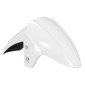 FRONT MUDGUARD FOR SYM 50-125 ORBIT II 2/4 Stroke WHITE -P2R-