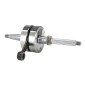 CRANKSHAFT FOR SCOOT TOP PERF TPR FOR PIAGGIO 50 ZIP 2 Stroke, TYPHOON, NRG, LIBERTY/GILERA 50 STALKER, RUNNER, DNA, ICE (REINFORCED WITH BEARINGS+SEALS) 3700948294703