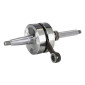 CRANKSHAFT FOR SCOOT TOP PERF TPR FOR PIAGGIO 50 ZIP 2 Stroke, TYPHOON, NRG, LIBERTY/GILERA 50 STALKER, RUNNER, DNA, ICE (REINFORCED WITH BEARINGS+SEALS) 3700948294703