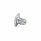 OIL LEVEL SCREW - ON CLUTCH CASE FOR RIEJU 50 MRX,SMX / AM6 (OEM 0/005.490.8420) 3700948277881
