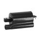 BOBINE ALLUMAGE MAXISCOOTER ADAPTABLE HONDA 125 SH IE, PANTHEON, SILVER WING, 110 LEAD / APRILIA 125 LEONARDO, SCARABEO / SYM 250 JOY MAX / PIAGGIO 250 X9 2000>2003 -SELECTION P2R- 3700948178935