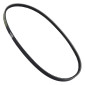 COURROIE CYCLO MALOSSI SPECIAL BELT POUR PIAGGIO 50 CIAO AVEC VARIATEUR (978 x 13 x 6,5 x 34°) (617227) 3700948265123