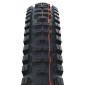 PNEU VTT GRAVITY / VAE 29 X 2.40 SCHWALBE BIG BETTY ADDIX SUPER GRAVITY ENDURO NOIR TLE TUBELESS READY TS (62-622) HOMOLOGUE VAE e50 4026495880510