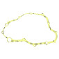 CLUTCH COVER GASKET FOR YAMAHA 250 YZ F 2001>2013, 250 WR F 2001>2014 / GAS GAS 250 EC F 2013>2015 -XRADICAL- 8434579060615