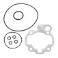 GASKET SET FOR CYLINDER KIT - AIRSAL for MINARELLI 50 AM6/MBK 50 X-POWER, X-LIMIT/YAMAHA 50 TZR, DTR/PEUGEOT 50 XPS/RIEJU 50 RS1/BETA 50 RR/APRILIA 50 RS 1995>2005 (FOR CAST IRON CYLINDER)