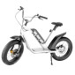 DRAISIENNE ELECTRIQUE RMS BIKE 20F-X BLANC RAL 9010 MOTEUR 500 W HOMOLOGUE NF EN 1476 (DIM 1,78x0,83x1,18 M) -MADE IN FRANCE-