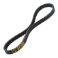 BELT FOR SCOOT - MALOSSI X KEVLAR BELT FOR PIAGGIO 50 ZIP IGET IE 2021> EURO 5 4 stroke,VESPA 50 PRIMAVERA IGET IE 2021> EURO 5 4 stroke, VESPA 50 SPRINT IE 2021> EURO 5 4 stroke (765 x 18,5 x 8 x 30°) (6116424) 3700948265437