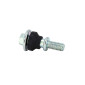SCREW FOR VARIATOR CASINF FOR KYMCO 50 AGILITY, SUPER 8 4 STROKE Ø 6 x 29,50 mm (OEM: 9000A-KTDT-900) 3700948277904