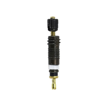 CORPS DE VALVE CHAMBRE A AIR SCHWALBE NOIR PRESTA - OBUS DE VALVE 4026495890809