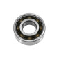 BEARING FOR CRANKSHAFT 6203 (17x40x12) SKF TN9 C3 "HIGH SPEED" FOR PEUGEOT 103/SOLEX 3800 (SOLD PER UNIT) 7316570389548