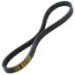COURROIE SCOOT MALOSSI X SPECIAL BELT POUR PIAGGIO 50 TYPHOON 1994>1999, NRG 1994>1999, NTT 1995>, FREE 1992>2002 / CPI 50 HUSSAR 2003>, OLIVER 2003> / KEEWAY 50 F-ACT , MATRIX, RY8 2T (802x17x8x30°) 3700948266502