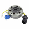 IGNITION "PIAGGIO GENUINE PART" 125 MP3, X7, X8, X9, X-EVO, VESPA GTS/GILERA 125 NEXUS/APRILIA 125 SPORT-CITY -58130R-