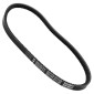 BELT FOR MOPED - ATHENA FOR 103 SP, MVL (PLATINIUM) (849 x 13,50 x 8,50 x 35°) 8053300715572