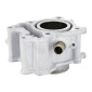 CYLINDER FOR MAXISCOOTER HONDA 125 HONDA 125 PCX 2012>, SH 2013> (Ø52,4mm) -AIRSAL ALUMINIUM- 8434829001061
