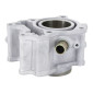 CYLINDRE MAXISCOOTER ADAPTABLE HONDA 125 PCX 2010>2011 (DIAM 52,4 mm) -ALU AIRSAL- 8434829000576