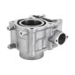 CYLINDER FOR MAXISCOOTER HONDA 125 SH INJECTION (Ø 52,4) - SELECTION P2R-