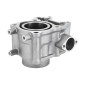 CYLINDRE MAXISCOOTER ADAPTABLE HONDA 125 PCX 2012>, SH 2013> (DIAM 52,4 mm) - P2R- 3700948102893