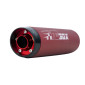 EXHAUST FOR 50cc MOTORBIKE- TECNIGAS E-BOX 2 FOR BETA 50 RR 2021> EURO 5 - red silencer (LOW MOUNTING) 8435521104418