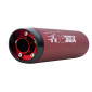 EXHAUST FOR 50cc MOTORBIKE- TECNIGAS E-NOX EVO 2 FOR RIEJU 50 MRT (RIGHT MOUNTING) ( red silencer) 8435521108416