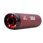 EXHAUST FOR 50cc MOTORBIKE- TECNIGAS E-NOX EVO 2 FOR BETA 50 RR 2016> EURO 4, 50 RR 2012>2017 EURO 3 (Right mounting) ( red silencer) 8435521108454