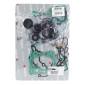 COMPLETE GASKET SET- FOR KTM 125 SX 2016>2022, 150 EXC 2020>2023 / GAS GAS 125 MC 2021>2023 ATHENA- 8052204239795