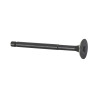 SOUPAPE ECHAPPEMENT ORIGINE PIAGGIO 100 SCARABEO 2001>2014 -969753-