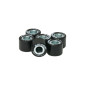 VARIATOR ROLLER FOR MAXISCOOTER MALOSSI 18x14 13,0g (x6) for SCOOTER 125 CHINESE/PEUGEOT 125 TWEET/ KYMCO 125 DINK-STREET, AGILITY/SYM 125 FIDDLE, GTS (6614705SD) 3700948267752