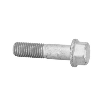 HEXAG HEAD SCREW -1C005233-